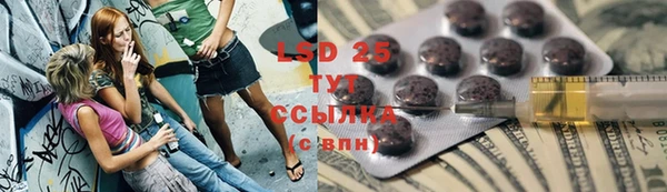 прущие грибы Алексеевка
