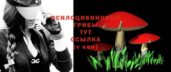 мяу мяу мука Арсеньев